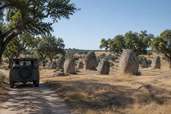 2-Hour Cork Safari, Land Rover, Évora