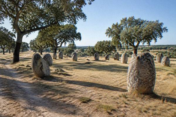 Private Almendres Cromlech Day Trip, Lisbon