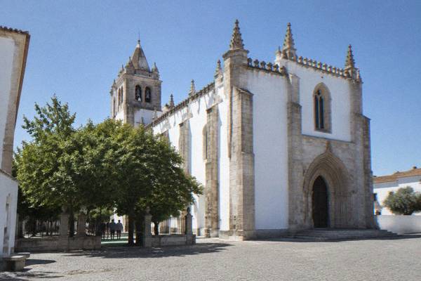 10-Hour Small-Group Winery Tour, Lisbon