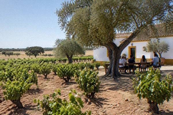 Small-Group Winery and Bones Chapel, Lisbon