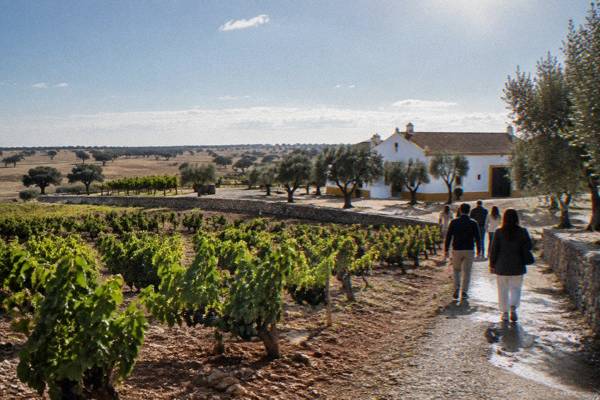 Morning Small-Group Monsaraz and Wine, Évora
