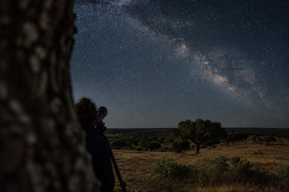 The Milky Way visible over a dark Alentejo horizon with a lone cork tree