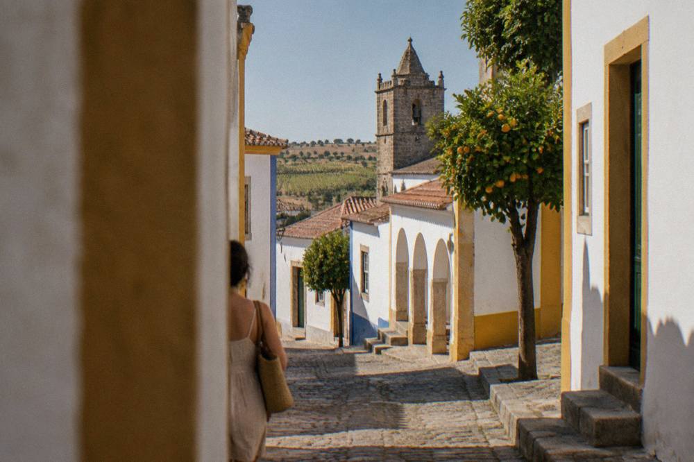 Rows of vines stretching across the rolling inland plains of the Alentejo near Évora