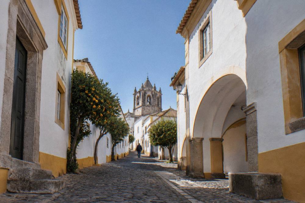A wide Alentejo plain at harvest time, with rows of grapevines and scattered cork oaks under a clear sky.