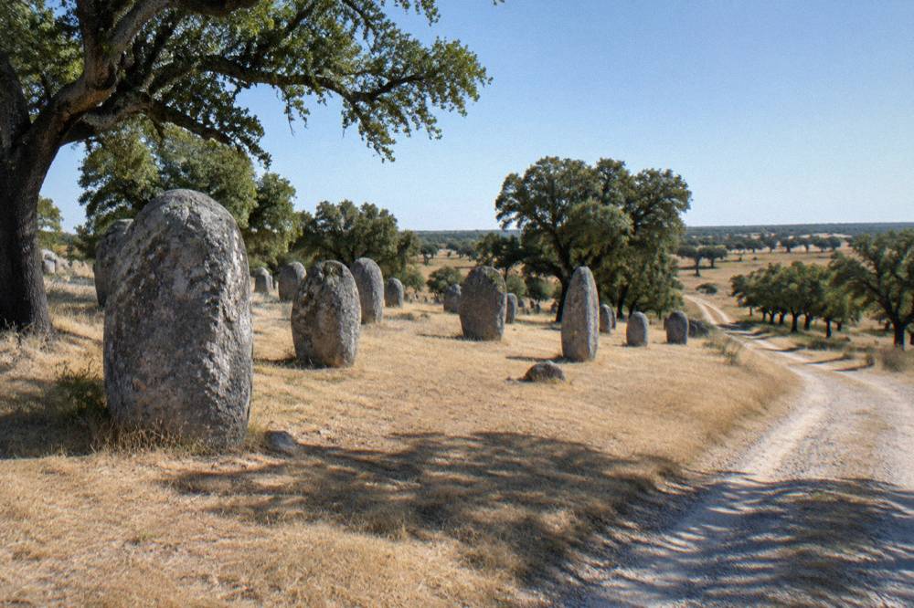 A gravel track leading through cork oak and open farmland toward the Almendres standing stones