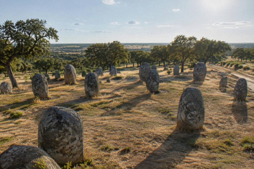 Long morning shadows stretching across the grass between the standing stones at Almendres