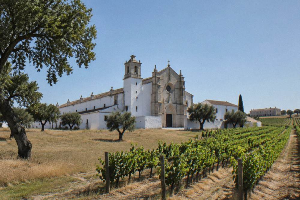 Rows of grapevines in a vineyard with a pale stone building in the distance at the Cartuxa estate