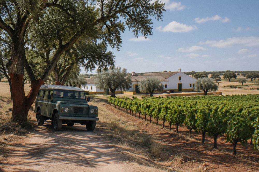 A classic Land Rover parked on a dirt track beside cork oak trees in the Alentejo countryside