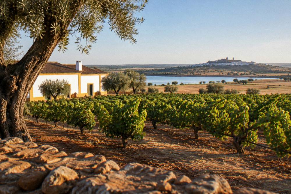 A walled hilltop village seen across open Alentejo plains and a large lake at golden hour