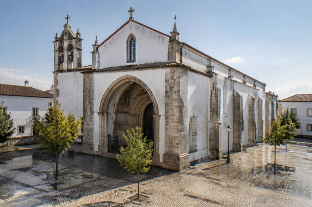 Sunlit stone nave of a Gothic church with vaulted ceiling and rows of wooden pews