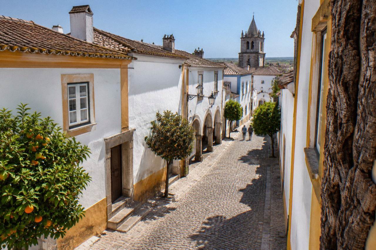 A sunlit Alentejo street in Évora with cork oak bark visible on a traditional building facade