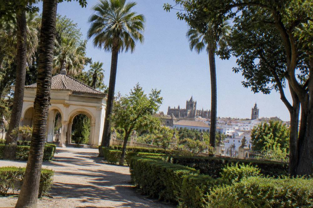View over trees and rooftops toward church towers in Évora's historic centre