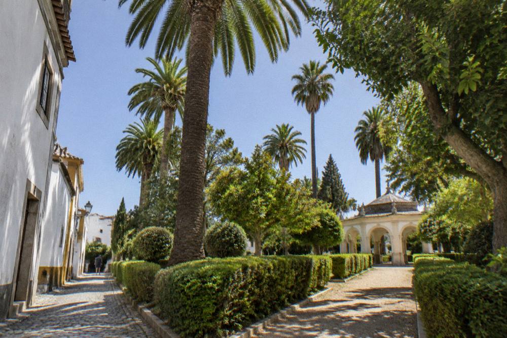 Narrow medieval street leading toward a green garden square in Évora
