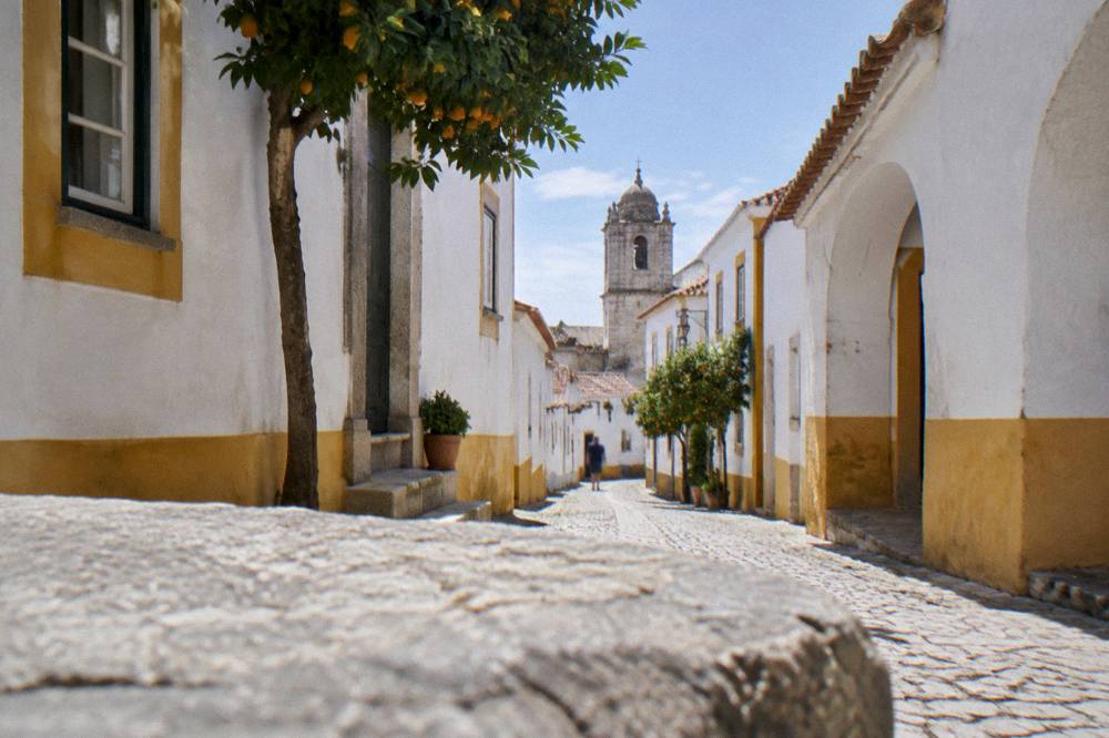 Walled hilltop village rising above the Alentejo plains under a wide sky
