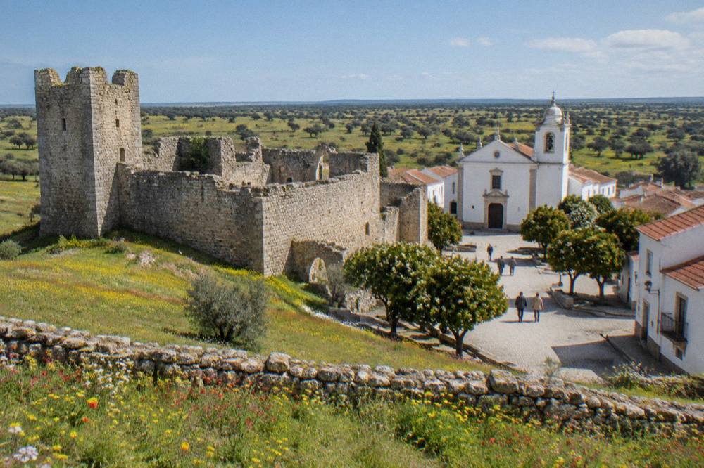 Spring wildflowers and green grass around a lone stone wall on the Alentejo plain