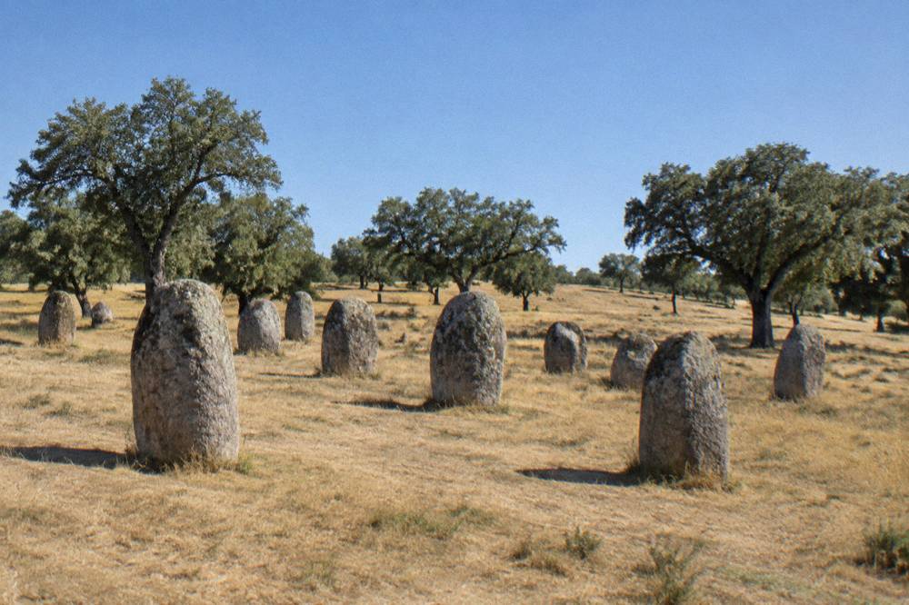 Standing stones of the Almendres cromlech scattered across a grassy hillside under a wide sky