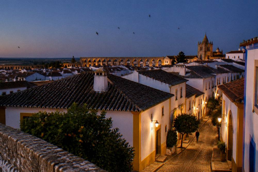 Evening view across Évora rooftops toward the aqueduct arches with swifts in the sky