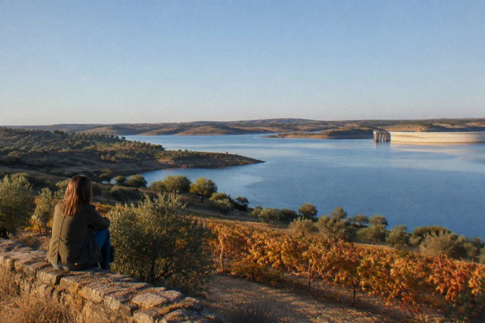 Olive groves and vineyards sloping down to a calm arm of the Alqueva reservoir in autumn light