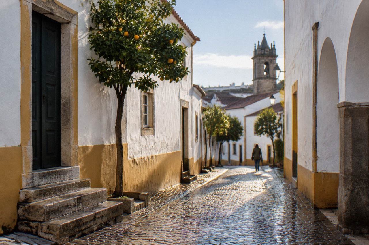 Walled hilltop village above a lake on the Alentejo plain under a wide sky