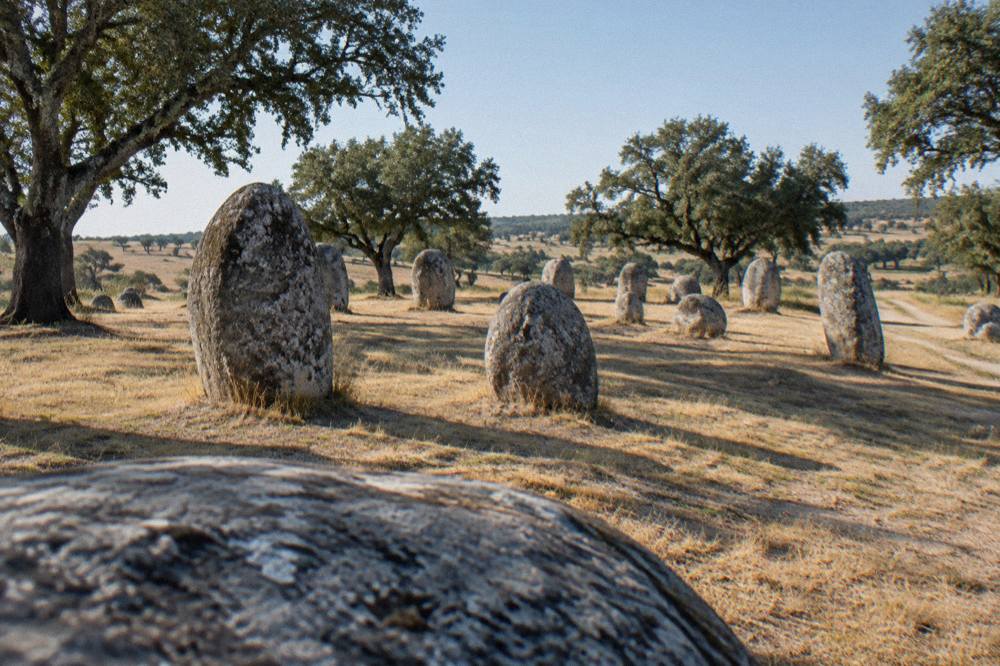 Ancient standing stones of a cromlech arranged on a low Alentejo hillside among cork oaks