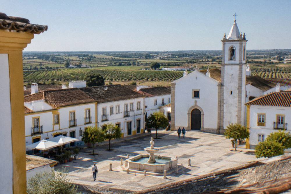 Rows of grapevines on flat Alentejo farmland near a small town