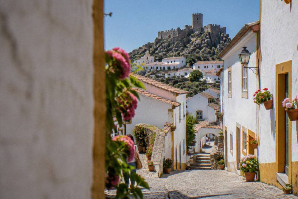 Steep cobbled street with whitewashed walls and potted flowers in sunlight