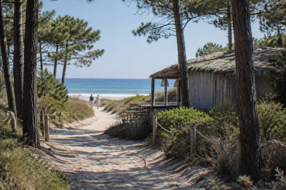 A narrow sandy lane running between tall pine trees toward the coast