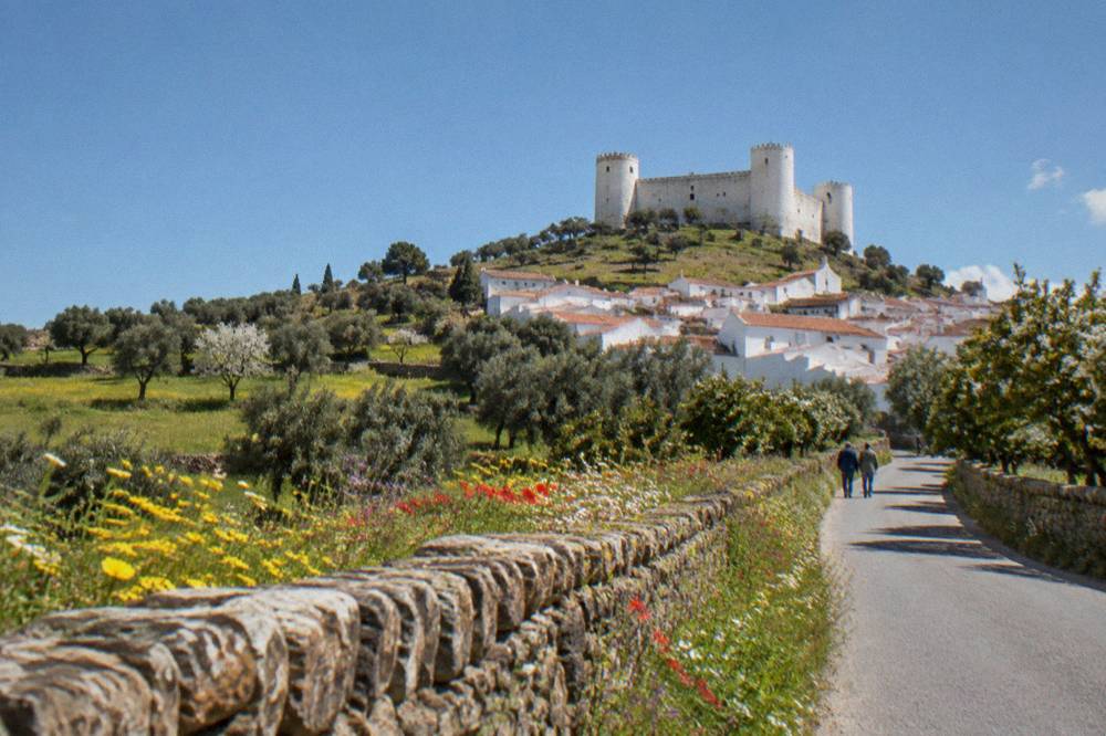 Spring wildflowers along a stone wall on the road near Évoramonte in the Alentejo