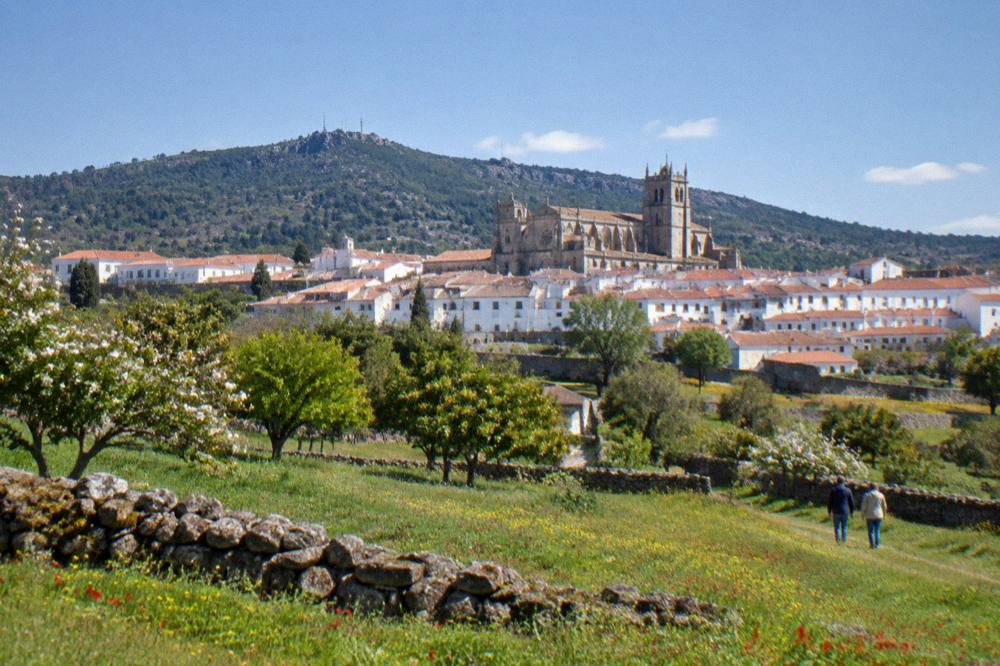 Spring wildflowers on a green hillside below Portalegre with stone walls crossing the fields