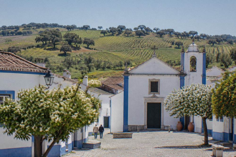 Vineyard rows on gentle hills with cork oak trees scattered between them under a clear spring sky