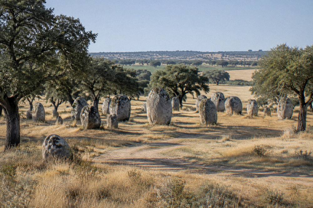 Standing stones of the Almendres cromlech on a grassy hillside dotted with cork oaks