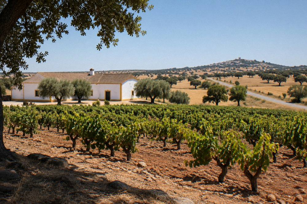 An open road crossing golden Alentejo plains with cork oaks and a distant village on a hill