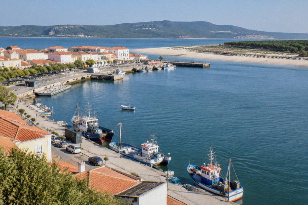 A wide sandy beach backed by dunes and pine trees, with wooden walkways leading over the sand to the sea