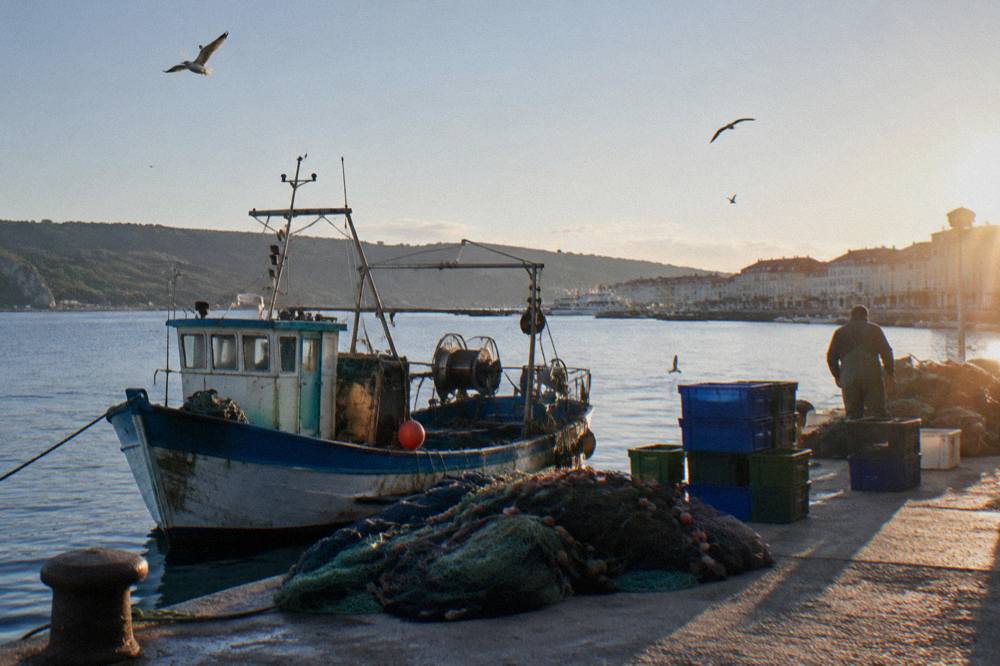 A weathered fishing boat moored in a harbour, with nets and crates on the quay and gulls overhead