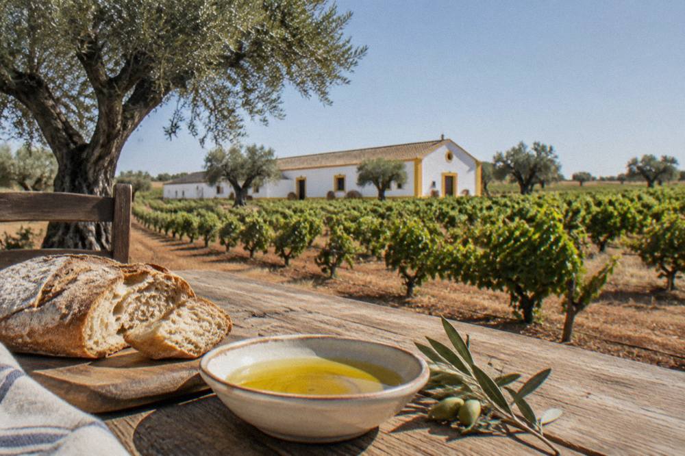 A bowl of golden olive oil with bread on a rustic Alentejo table
