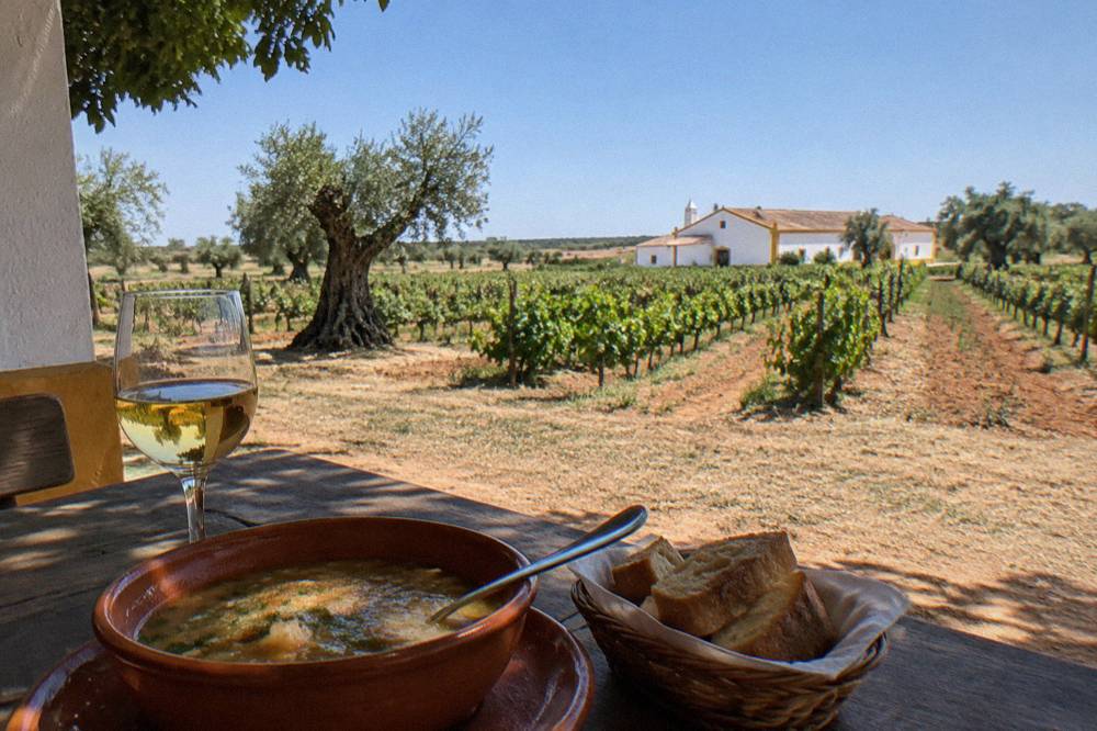 A rustic Alentejo soup of bread, garlic and coriander in a clay bowl