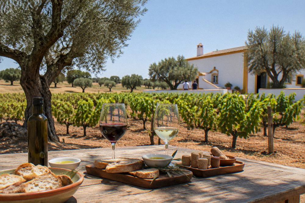 A tasting table with olive oil, bread, wine and cork samples in the Alentejo