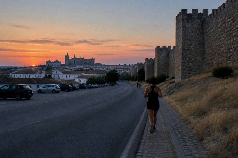Sunset over Évora's rooftops and cathedral from a viewpoint outside the walls