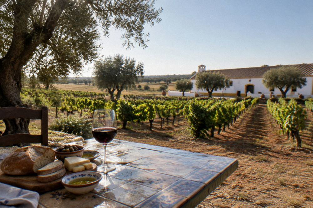 A rustic Alentejo lunch spread with bread, cheese, olive oil and a glass of red wine on a tiled table