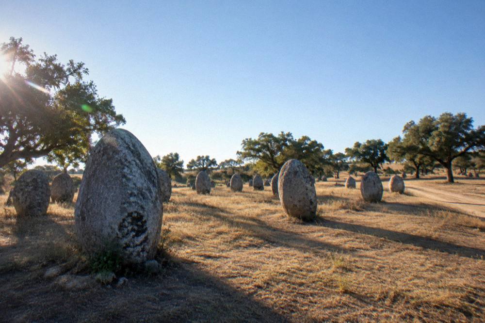 Standing stones of the Almendres cromlech scattered across a grassy slope under a wide sky