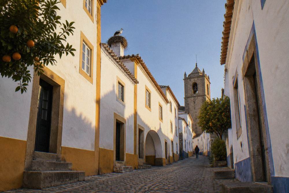 Golden late-afternoon light on whitewashed Alentejo buildings with storks nesting on a rooftop
