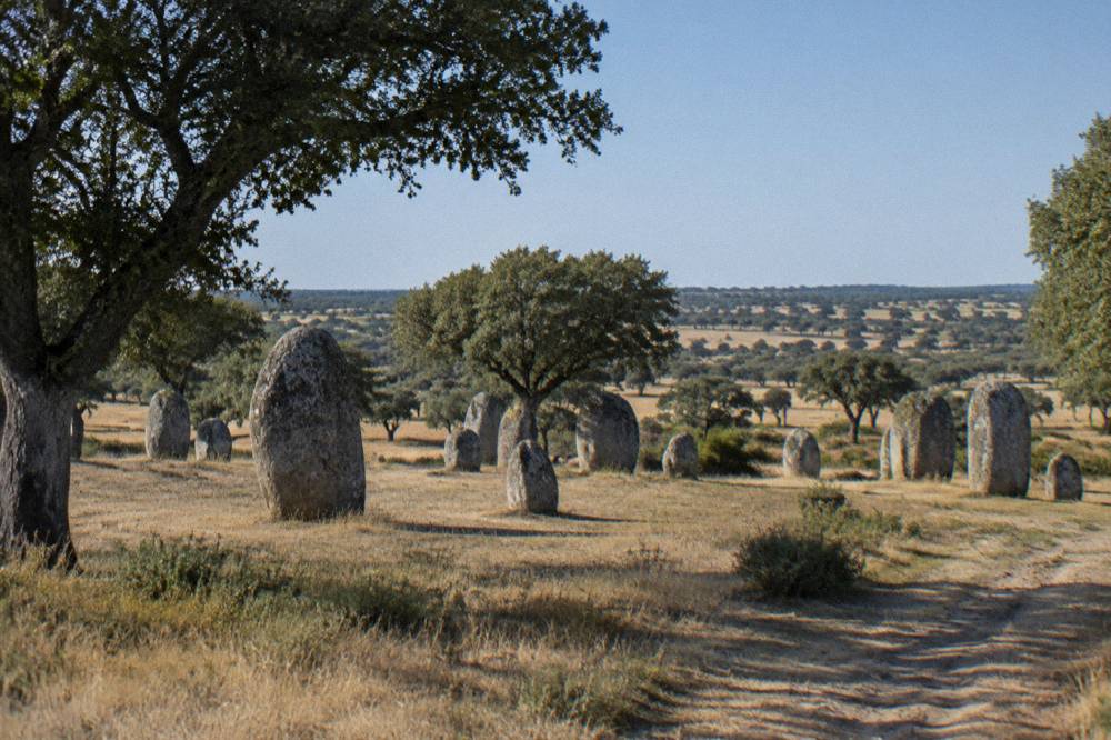 Standing stones of the Almendres cromlech scattered across a grassy Alentejo hillside