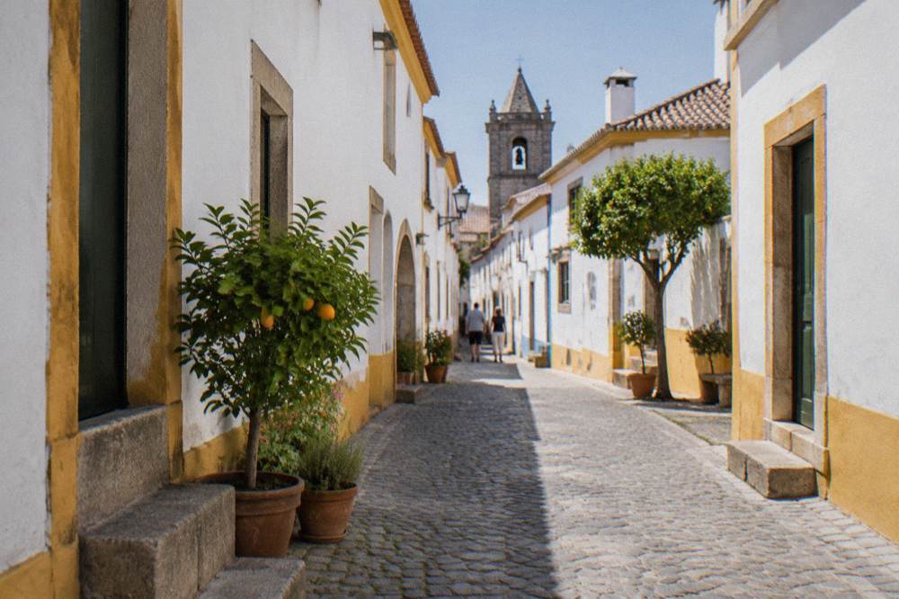 A shaded interior courtyard of an Alentejo townhouse with potted plants