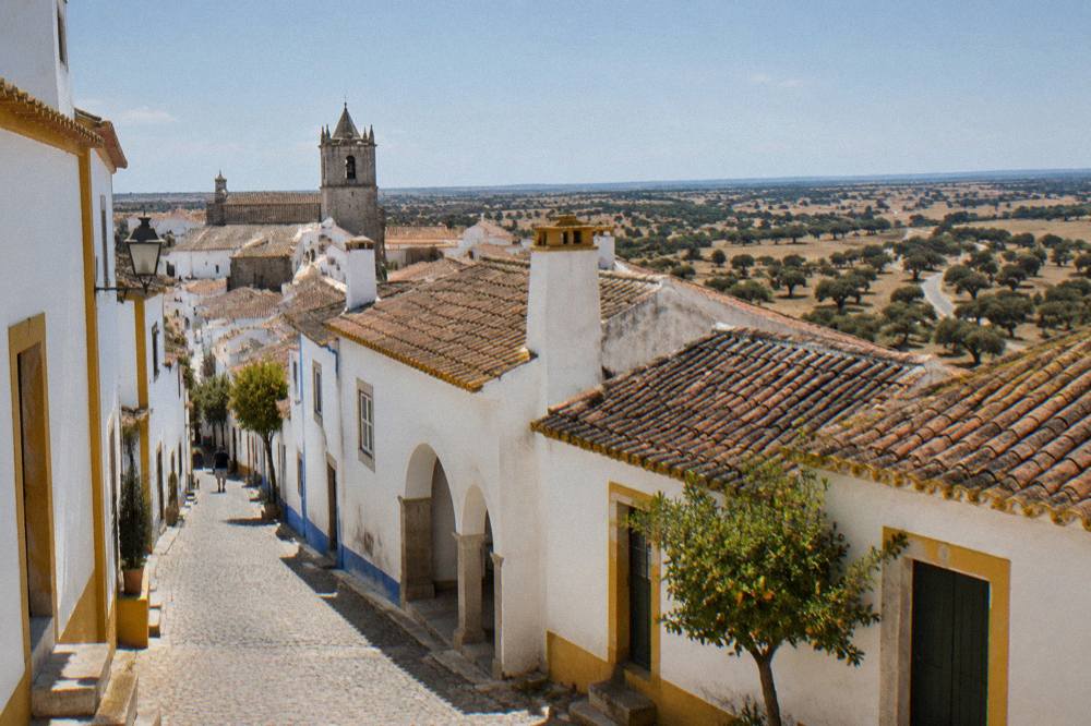 A country road through cork oak and olive landscape on the Alentejo plain near Évora