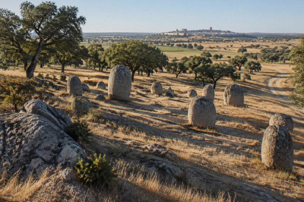Golden morning light over dry open plains with scattered cork oaks and a distant walled town