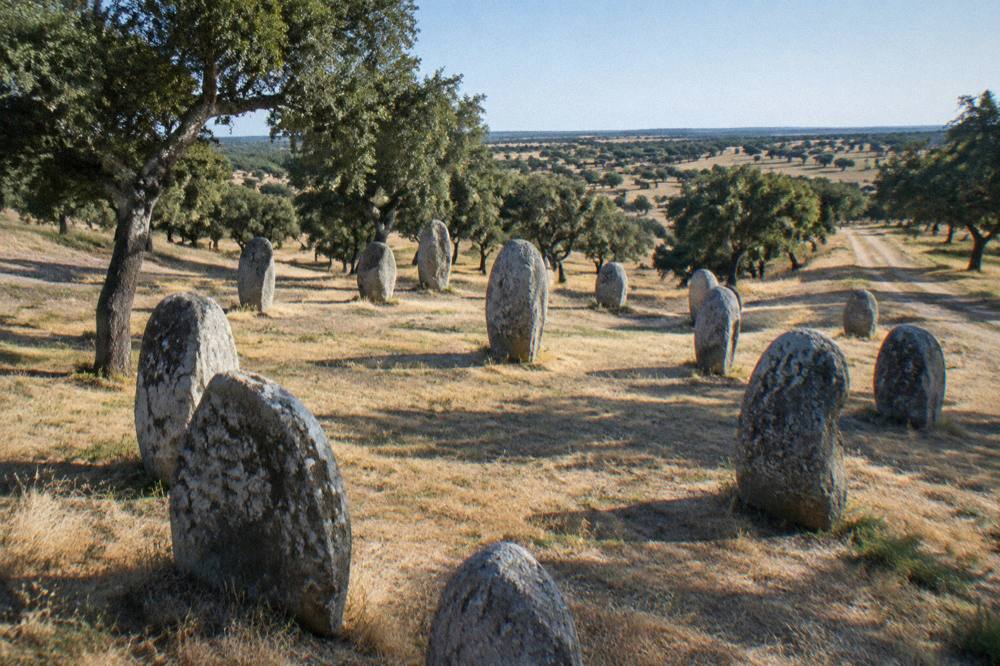 Standing stones of the Almendres cromlech on a grassy slope among cork oaks at sunset