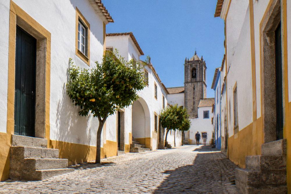 White houses and a hilltop castle of a small Alentejo town seen across olive groves