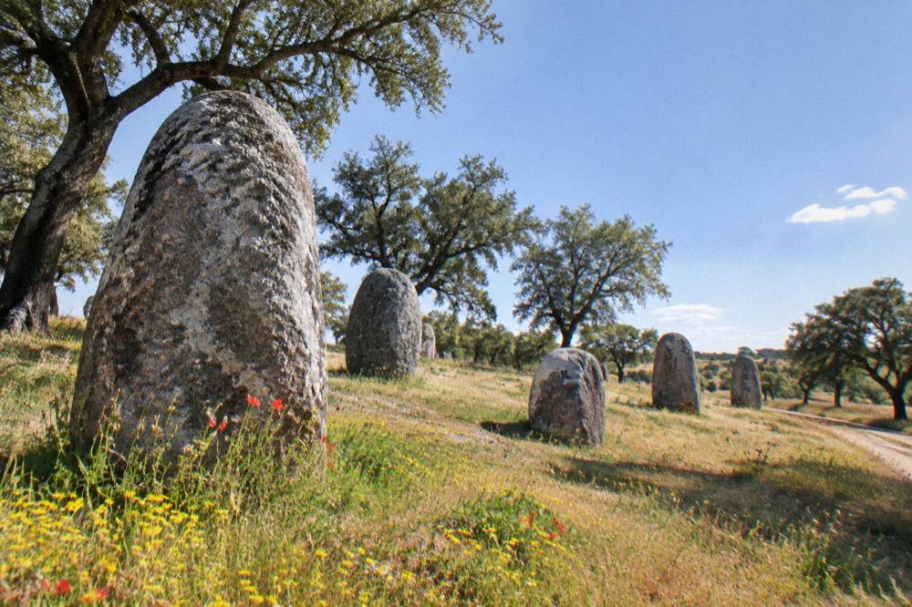 Spring wildflowers around granite standing stones in the Alentejo countryside