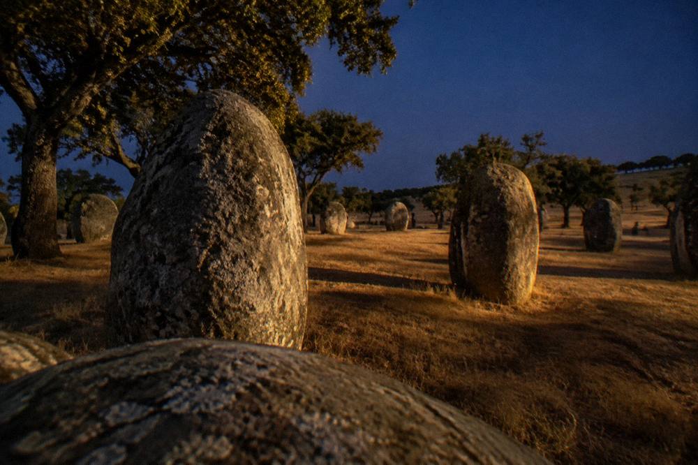 Standing stones of the Almendres cromlech on a grassy hillside in evening light