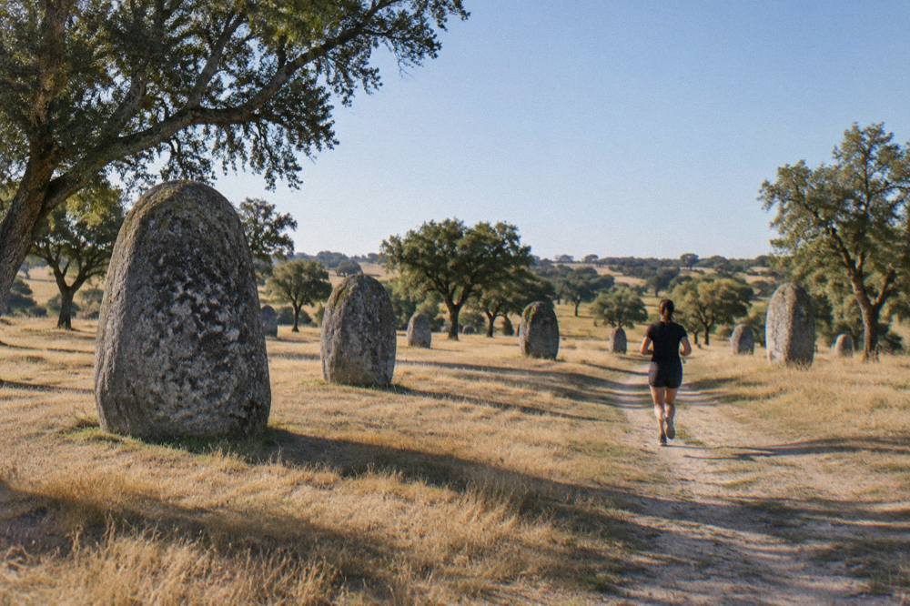 Standing stones of a megalithic cromlech on open grassland under a wide sky